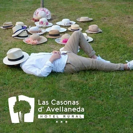 Hotel Casonas De Avellaneda Navia