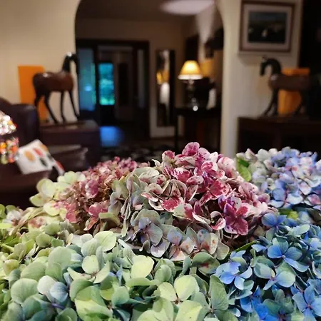 Casonas De Avellaneda Navia