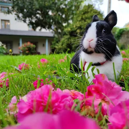 Casonas De Avellaneda Ξενοδοχείο 3*