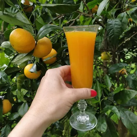 Casonas De Avellaneda Hotel Navia