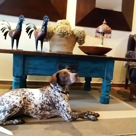 Casonas De Avellaneda Ξενοδοχείο Navia