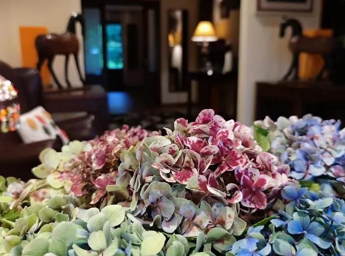 Casonas De Avellaneda Navia