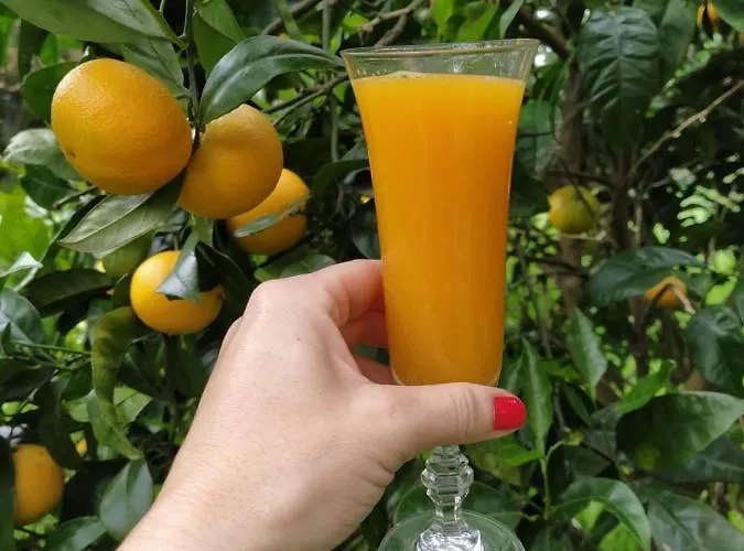 Casonas De Avellaneda Hotel Navia