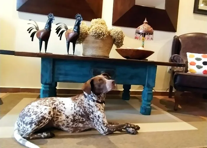 Casonas De Avellaneda Hotel Navia